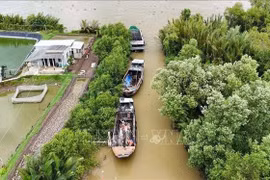 Fishing boats owned by fishermen in Long Huu commune, Tay Ninh province, are moored, awaiting procedures to be completed to meet requirements. (Photo: VNA)
