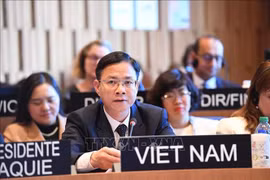 Deputy Foreign Minister Ngo Le Van speaks at the 221st session of the UNESCO Executive Board. (Photo: VNA)