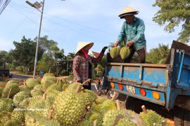 Illustrative Image (Photo: VNA)
