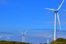 ADB, WB commit over 12 billion USD to ASEAN grid, renewables (Photo: adb.org) 