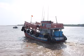 All fishing vessels operating in Ca Mau must use the electronic catch documentation and traceability (eCDT) system when entering or leaving designated fishing ports. (Photo: VNA) 
