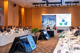 Delegates at the "Meet Korea in Da Nang" (Photo: VNA)