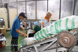 A conveyor system transports processed rice for export. (Photo: VNA)
