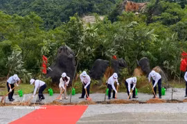DACE launches organic spice processing, preservation and export plant in Cao Bang (Photo: VNA) 