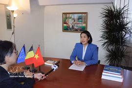 Vietnamese Ambassador to Belgium and Head of the Vietnamese Mission to the European Union Nguyen Huong Tra speaks in an interview with the VNA. (Photo: VNA)