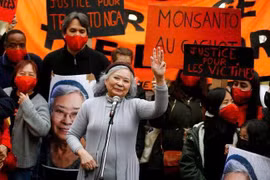 During her nearly 20-year quest for justice, Tran To Nga has received support not only from people in Vietnam but also from overseas Vietnamese in France and many other countries around the world. (Photo: VNA) 