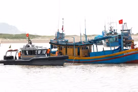 Border guards inspect fishing vessels entering and leaving La Gi fishing port. (Photo: VNA) 