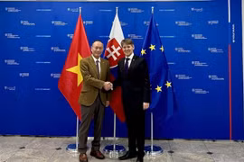 Vietnamese Ambassador Pham Truong Giang (L) and Solvakia's First Deputy Minister of Foreign and European Affairs Marek Estok (Photo: VNA)