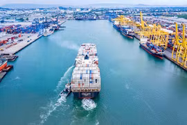 Singapore updates import-export procedures (Photo: 