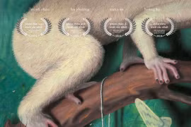 Vietnamese film awarded best picture at Rome’s 22nd Asian film festival (Photo: CGV)
