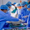 Hue Central Hospital performs a kidney transplant using LifePort. (Photo published by VNA)