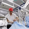 Workers at a garment company in Hanoi. (Photo: VNA)