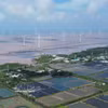 Wind turbines in Dong Hai commune, Ca Mau province (Photo: VNA)