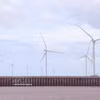 Ca Mau is stepping up renewable energy development, leveraging its coastline of more than 310km (Photo: VNA)