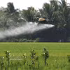 A drone used to apply fertiliser to rice fields in Can Tho city (Photo: VNA)