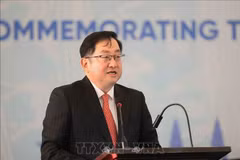 Malaysian Ambassador to Vietnam Dato’ Tan Yang Thai speaks at the press briefing. (Photo: VNA)