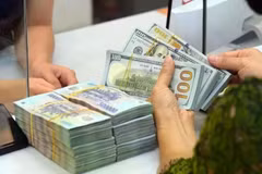 The daily reference exchange rate is set at 25,637 VND/USD on September 18. (Photo: VNA)