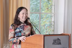 Vietnam’s multilateral vision and constructive role at the UN