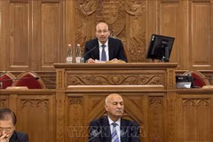 Vietnamese Ambassador to Hungary Bui Le Thai (back row) speaks at the sixth Asia–Europe Political Forum in Hungary. (Photo published by VNA)