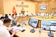 Minister of Industry and Trade Nguyen Hong Dien (standing) chairs a working session with major Vietnamese enterprises on May 7. (Photo: VNA)