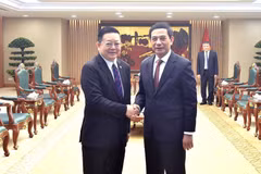 Deputy Prime Minister and Minister of National Defence Phan Van Giang receives ASEAN Secretary-General. (Photo: baochinhphu.vn)