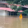 In Kim Tan commune, Thanh Hoa province, flood has submerged more than half of the ground floors of two- and three-storey houses. (Photo: VNA)