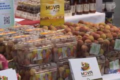 “Vietnamese Goods Day” promotes Bac Giang lychees in Germany