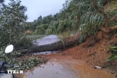 Prolonged heavy rain triggers landslides, disrupts traffic in Son La, Dien Bien