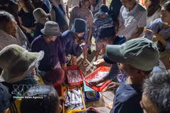 Peaceful rhythms at Tam Tien fish market