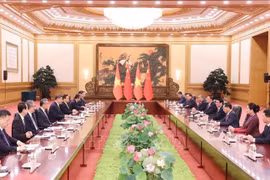 President Luong Cuong holds talks with Party General Secretary and President of China Xi Jinping. (Photo: VNA)