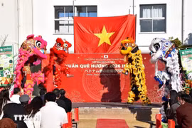 A Vietnamese lion dance troupe from Nagoya performs at the opening of the Homeland Spring Festival 2026 in Osaka, Japan. (Photo: VNA)