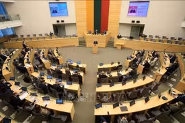The Lithuanian Government has approved the accession to ASEAN Treaty of Amity and Cooperation. (Photo: VNA)