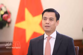 Deputy Minister of Foreign Affairs Dang Hoang Giang (Photo: VNA)