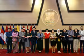 the 13th Meeting of the ASEAN–New Zealand Joint Cooperation Committee (ANZJCC) (Photo: VNA)