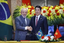 President of Vietnam Luong Cuong and President of the Federative Republic of Brazil Luiz Inácio Lula da Silva following their meeting with media (Photo: VNA)