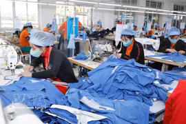 Garments for export to the Japanese market are produced at Hung Viet Garment Company in Hung Yen province. (Photo: VNA)
