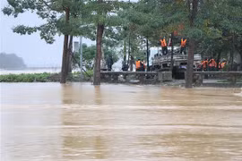 Water levels on the Huong River in Hue city continue to rise as recovery efforts from the previous flood are still under way on the afternoon of November 2. (Photo: VNA)