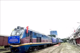 An international intermodal freight train transports export goods from Song Than Station to China. (Photo: VNA) 