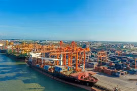 Loading and unloading container cargo at a Vietnamese seaport. (Photo: PV/VietnamPlus)
