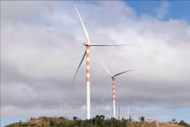 Wind turbines stand fully installed at a wind power project in Gia Lai province. (Photo: VNA)