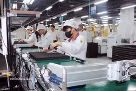 The Vietnam-EFTA FTA is one of the longest-negotiated trade agreements in Vietnam's history. (Illustrative Photo: VNA)