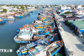 The fishing fleet of local fishermen docks at Dong Hai Fishing Port in Phan Rang–Thap Cham city, Binh Dinh province. (Photo: VNA)