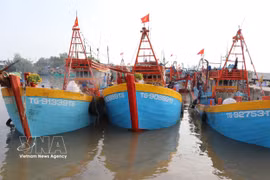 Fishing vessels anchored at Vam Lang Fishing Port, Dong Thap province (Photo: VNA)