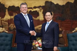 Deputy Prime Minister Bui Thanh Son (right) meets with EU Commissioner for Trade and Economic Security Maros Sefcovic in Hanoi on September 26. (Photo: VNA)
