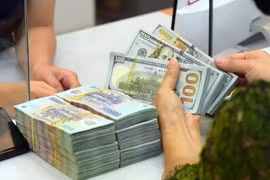 The daily reference exchange rate is set at 25,637 VND/USD on September 18. (Photo: VNA)