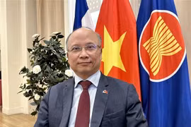 Vietnamese Ambassador to France Dinh Toan Thang (Photo: VNA)