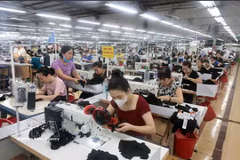 TNG Thai Nguyen Garment Company generates annual revenues worth trillions of VND and creates jobs for more than 20,000 workers. (Photo: VNA)