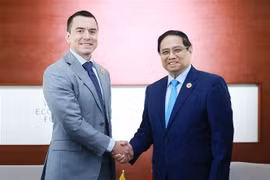 Prime Minister Pham Minh Chinh (R) meets with Ecuadorian President Daniel Noboa on the sidelines of the 16th Annual Meeting of the New Champions of the World Economic Forum (WEF) in Tianjin city, China, June 25, 2025. (Photo: VNA)