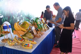 A shipment of 220 tonnes of fresh bananas from Dong Nai is exported to international markets. (Photo: VNA)