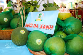 Pomelo is one of the five key fruit crops in Dong Nai province. (Photo: VNA)